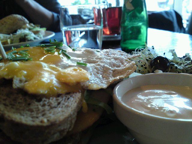 Image posted by MobyPicture.com