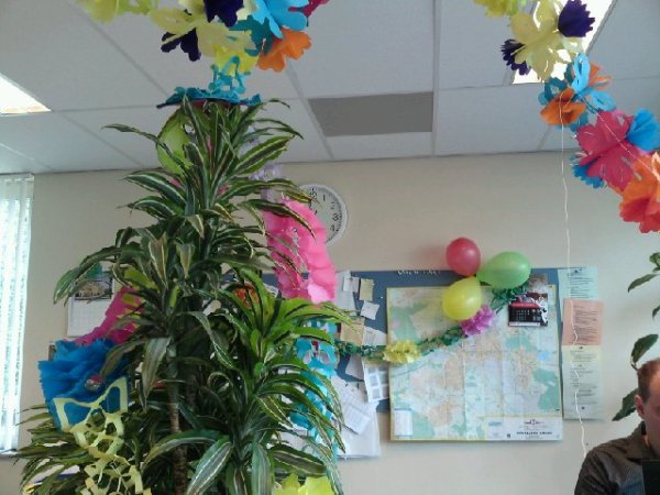 Image posted by MobyPicture.com