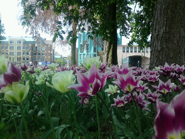 Image posted by MobyPicture.com