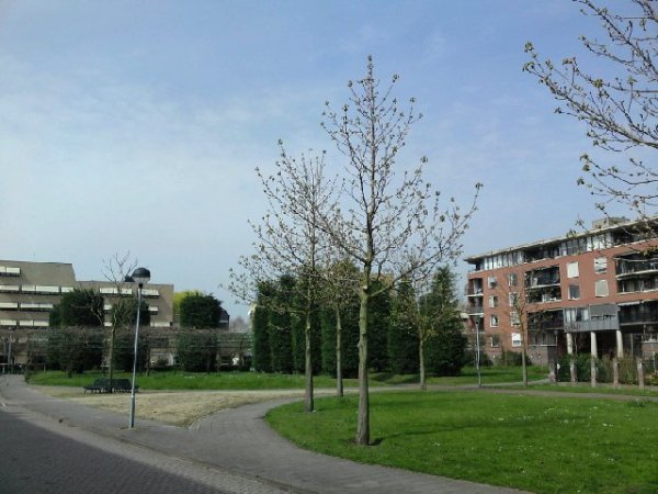 Image posted by MobyPicture.com