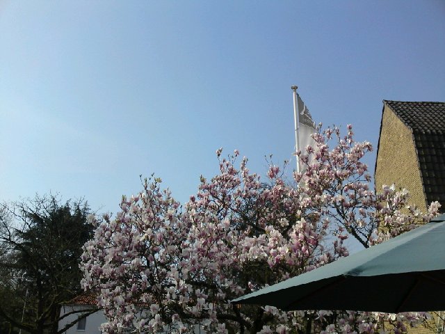 Image posted by MobyPicture.com