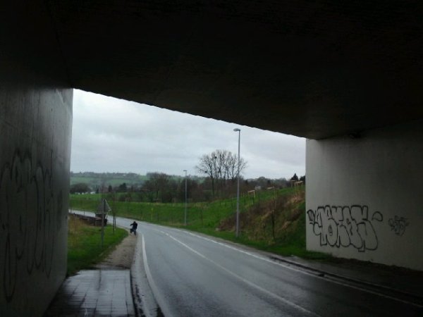 Image posted by MobyPicture.com