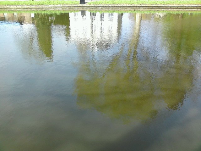 Image posted by MobyPicture.com