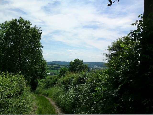 Image posted by MobyPicture.com