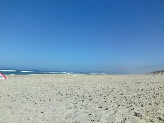 Image posted by MobyPicture.com