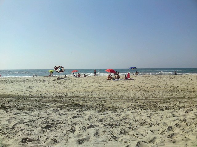 Image posted by MobyPicture.com