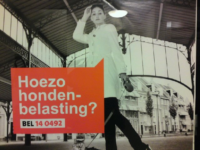 Image posted by MobyPicture.com