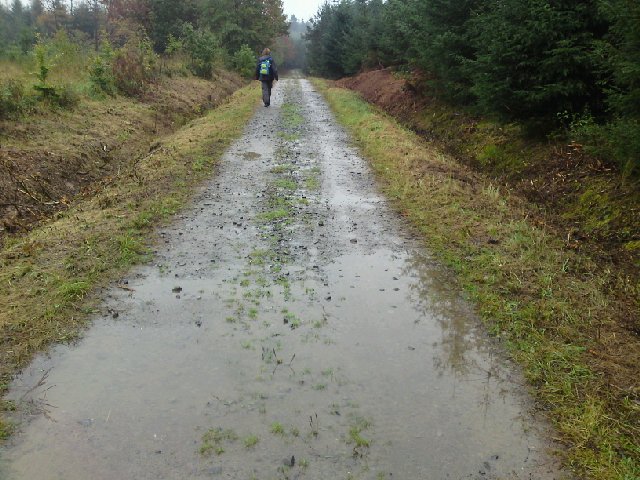 Image posted by MobyPicture.com