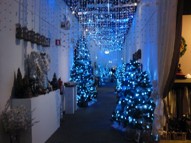 Image posted by MobyPicture.com