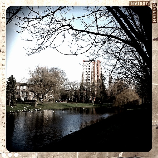 sized_2013-01-12 13.27.21