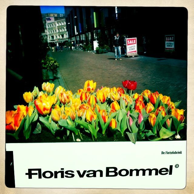 LEBJ4TCHzB84LFAjPFIUYPXD7tMih231LHlw7PJXELM