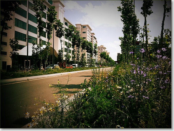 sized_2014-06-10 13.17.01-2