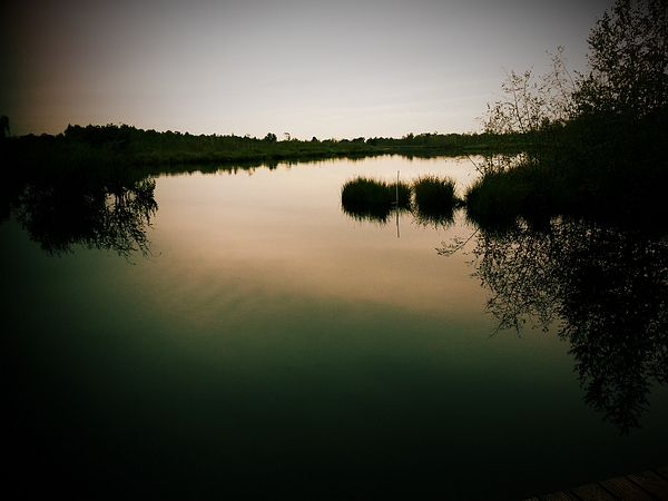 sized_2014-08-25 13.41.07-2