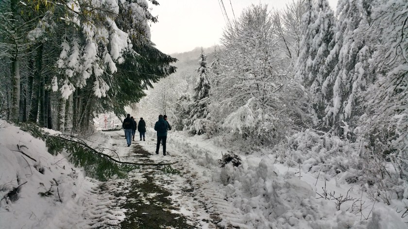 2016-01-16 11.01.49-2