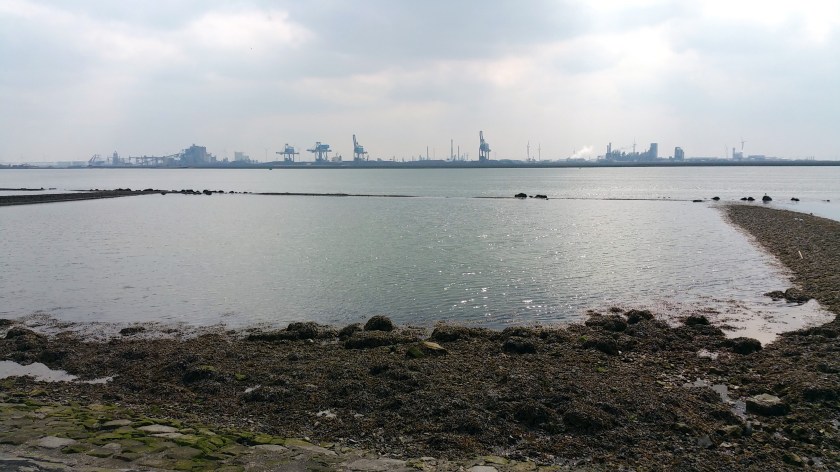 C360_2016-04-02-14-42-56-983