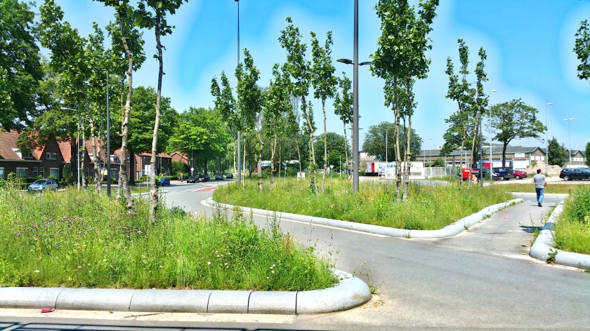 2016-06-06 12.50.09-2