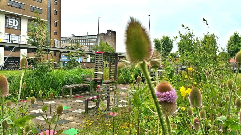 C360_2016-06-30-12-51-16-956