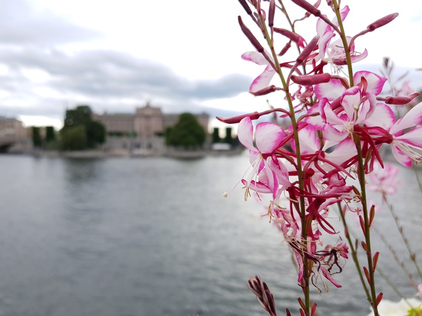 CameraZOOM-20170721165437674 (1)