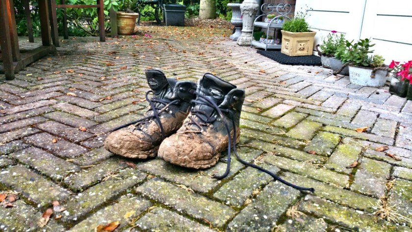 C360_2016-06-15-09-27-52-755