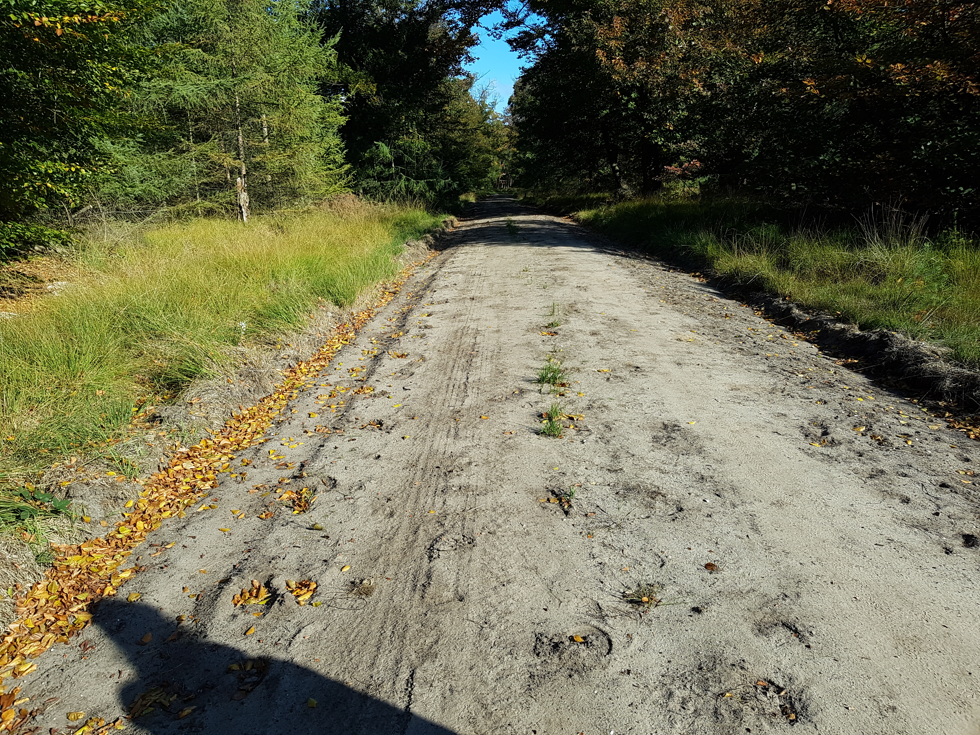 CameraZOOM-20181007112052437