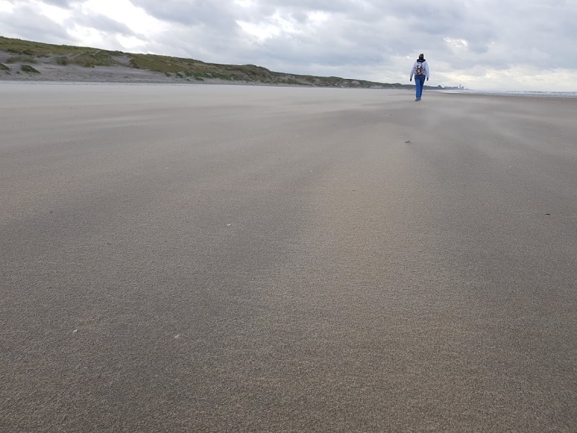 CameraZOOM-20181111105454096